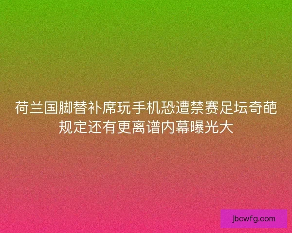 荷兰国脚替补席玩手机恐遭禁赛足坛奇葩规定还有更离谱内幕曝光大